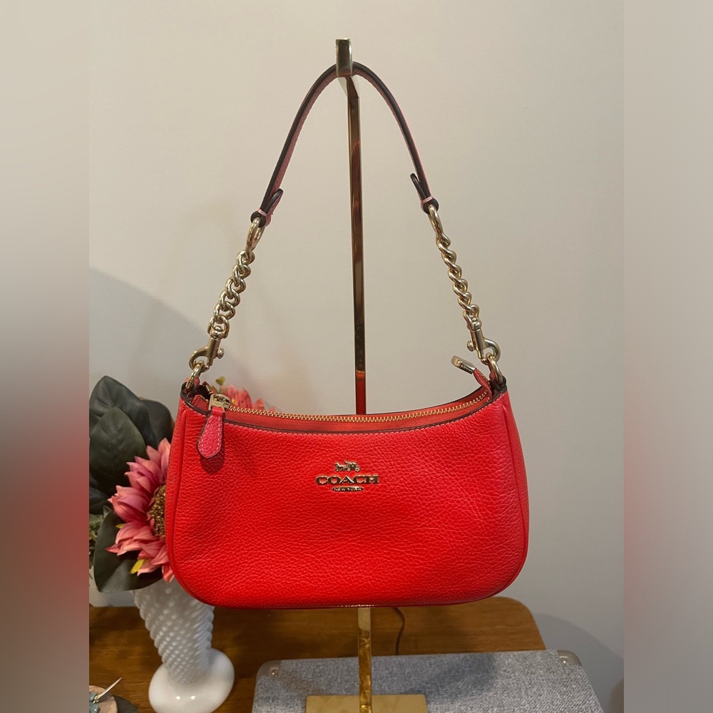 Coach teri bag